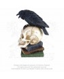 Poe's Raven