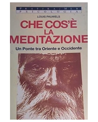 CHE COS'È LA MEDITAZIONE.