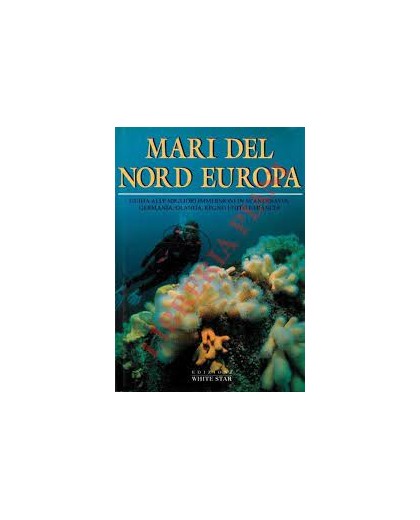 MARI DEL NORD EUROPA